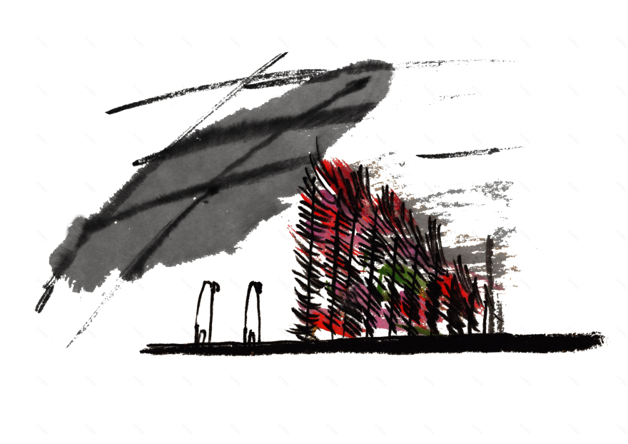 重生之孔雀·传统民间工艺与当代艺术的碰撞-23