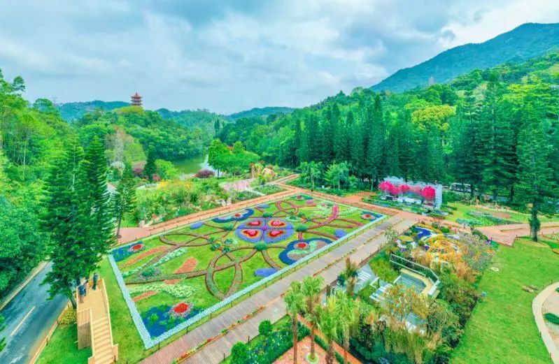 文科园林“幸运盒”花展设计丨中国深圳-1