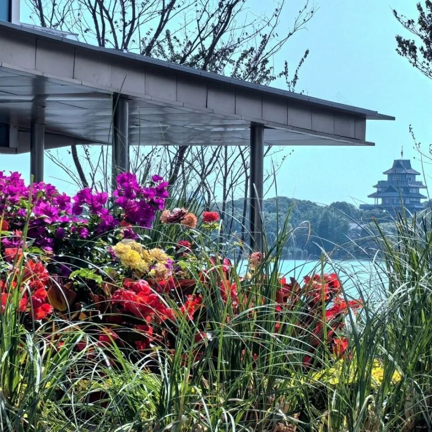 金鸡湖右岸城市客厅亮相!苏州新地标抢先看→-22