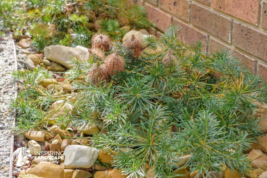 Mulgrave景观设计与施工项目丨Inspiring Landscape Solutions-7