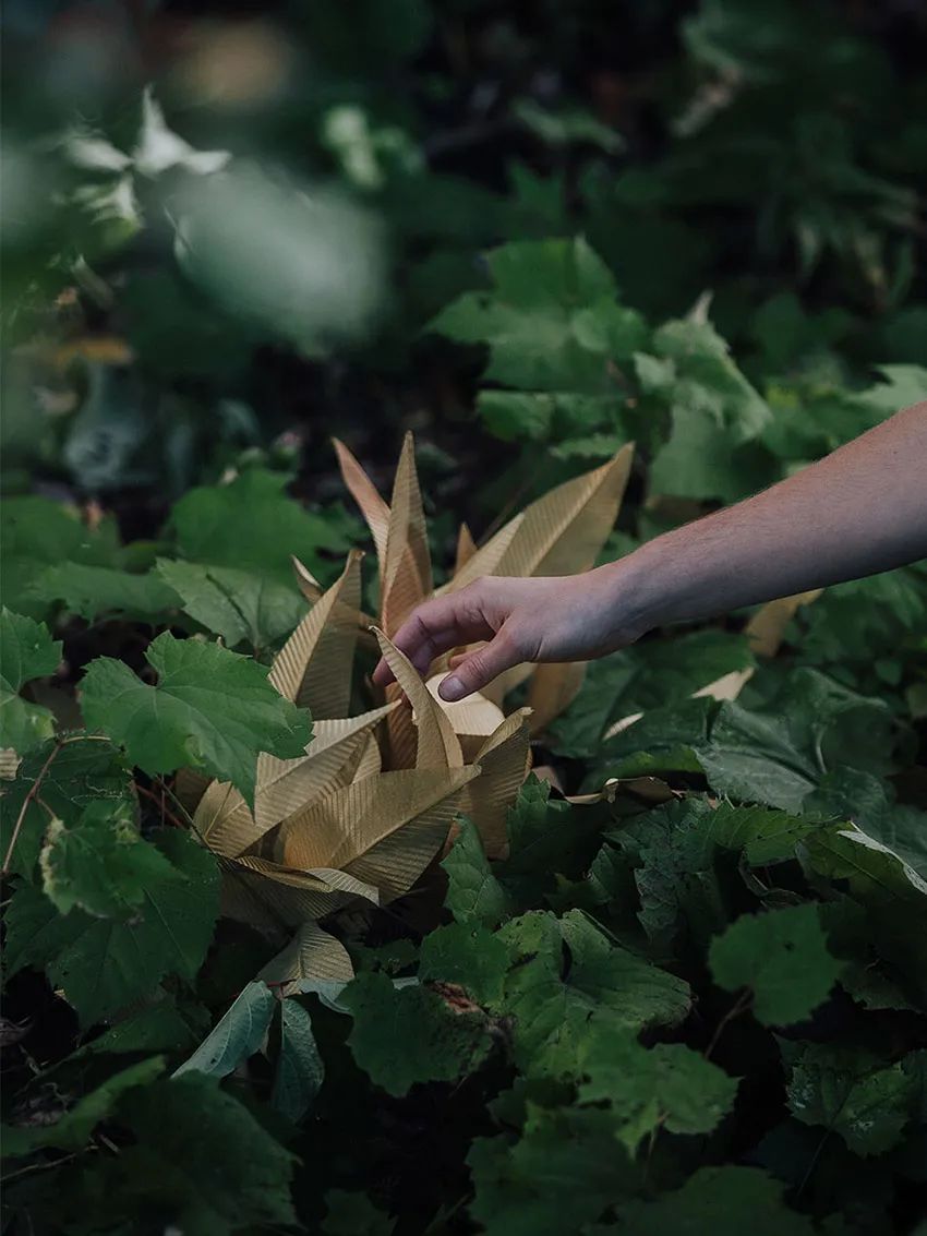 自然之美 - Larose Guyon Automne 灯饰系列-21