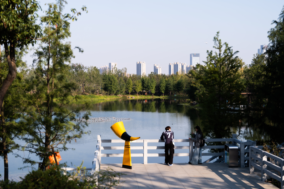 合肥骆岗公园景观设计丨中国合肥丨泛亚景观设计（上海）有限公司-53