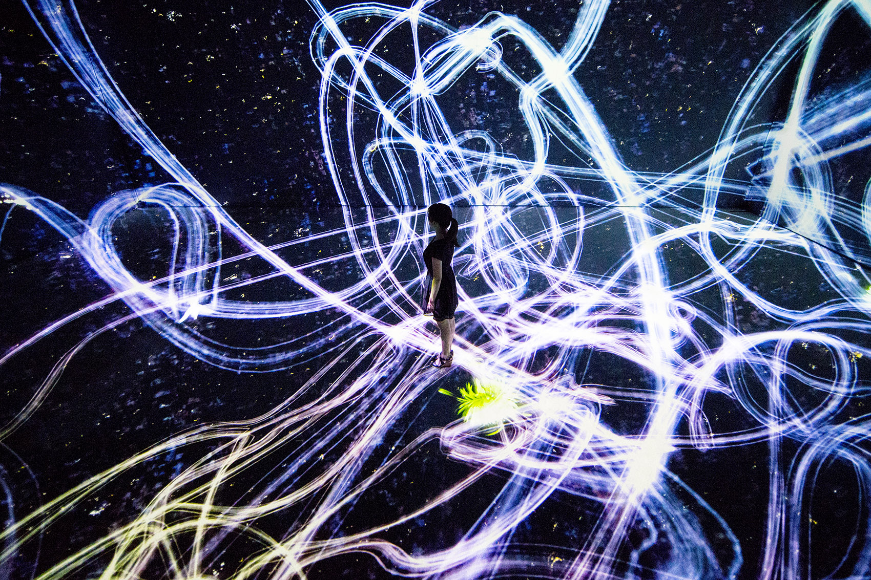 teamLab 2017 深圳北京大展：舞蹈吧，艺术！寓教于乐的未来游乐园！-45