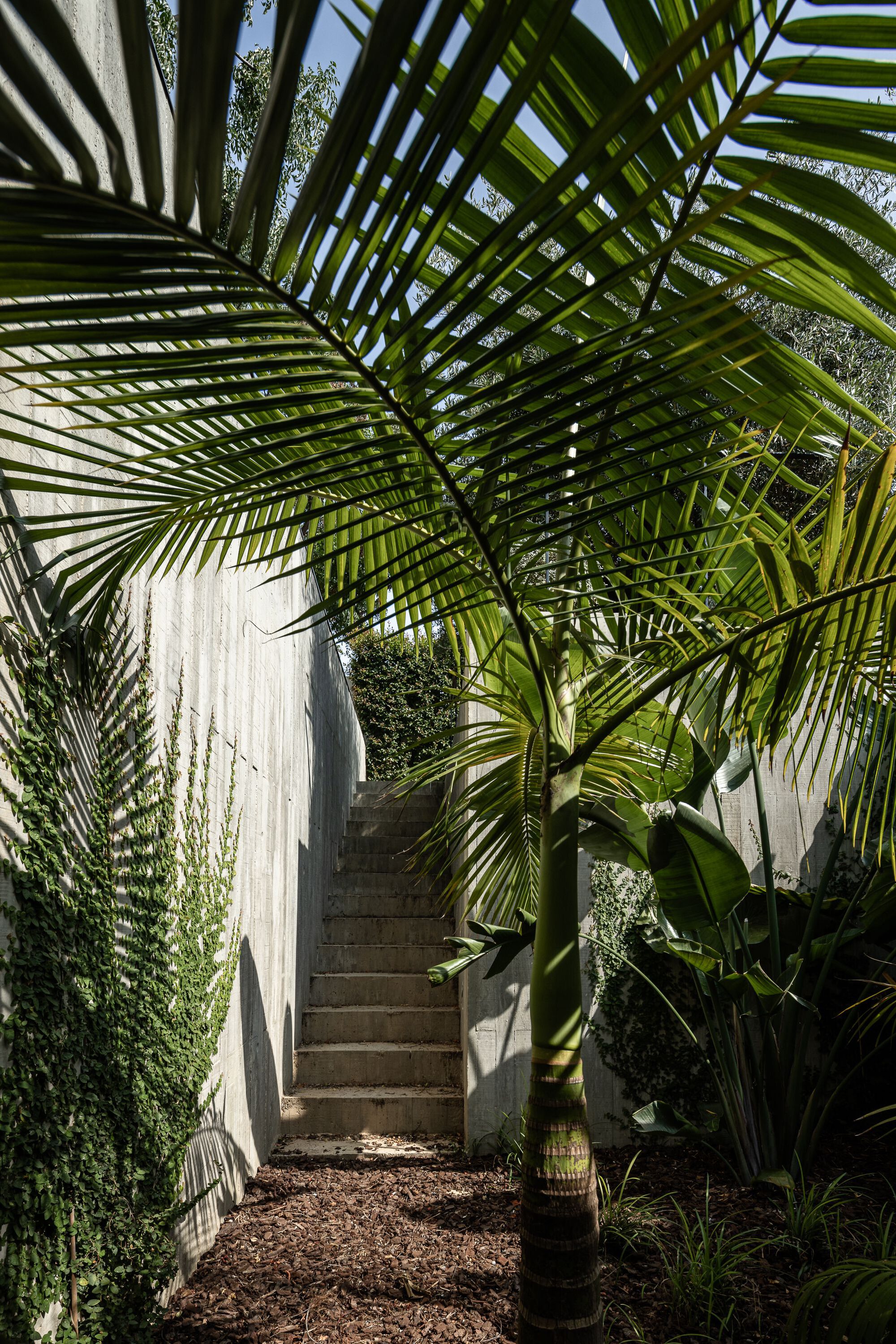 科利纳斯庄园丨葡萄牙丨Atelier Data-20