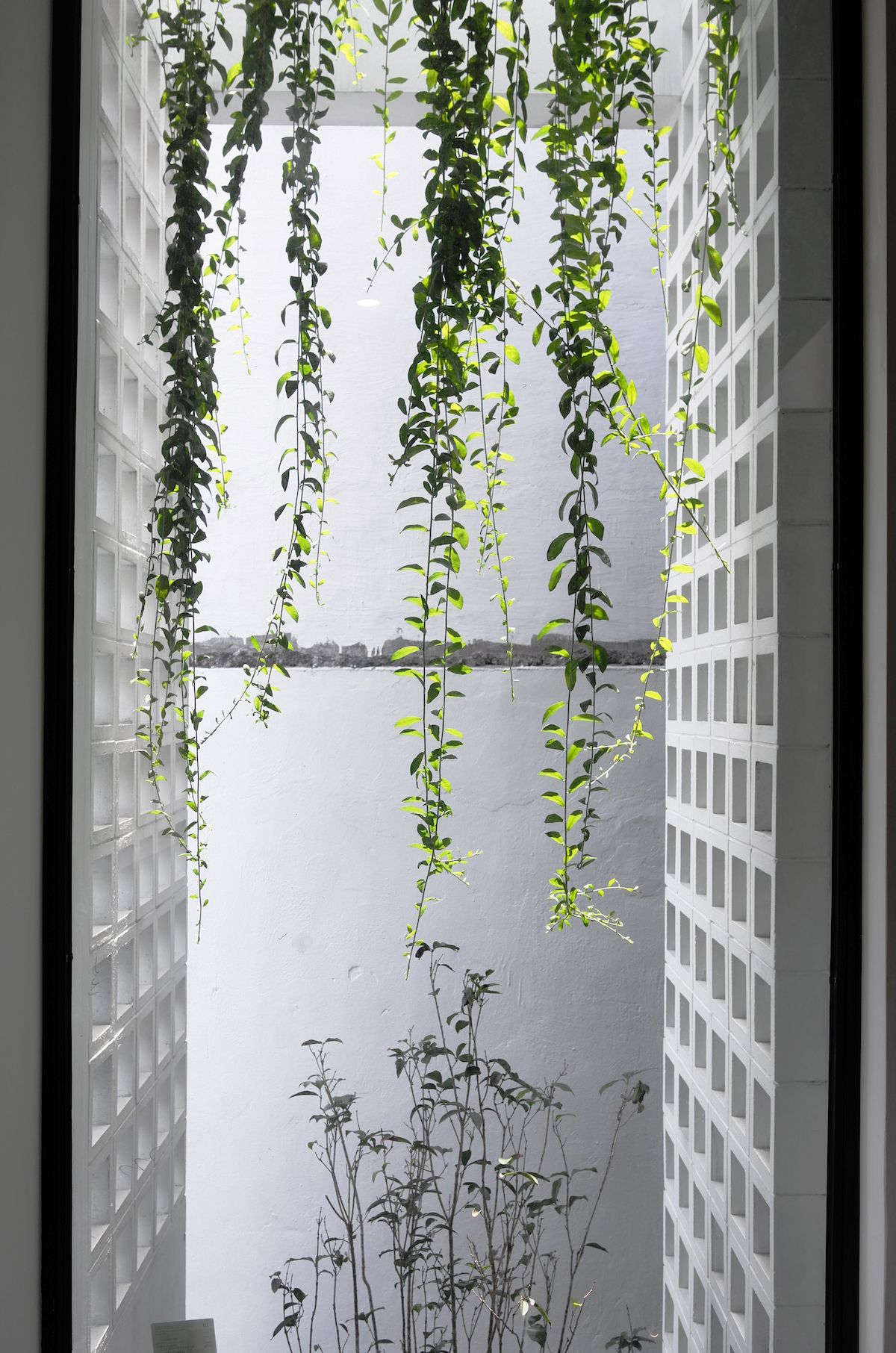 风起小屋(Maison Q)-56