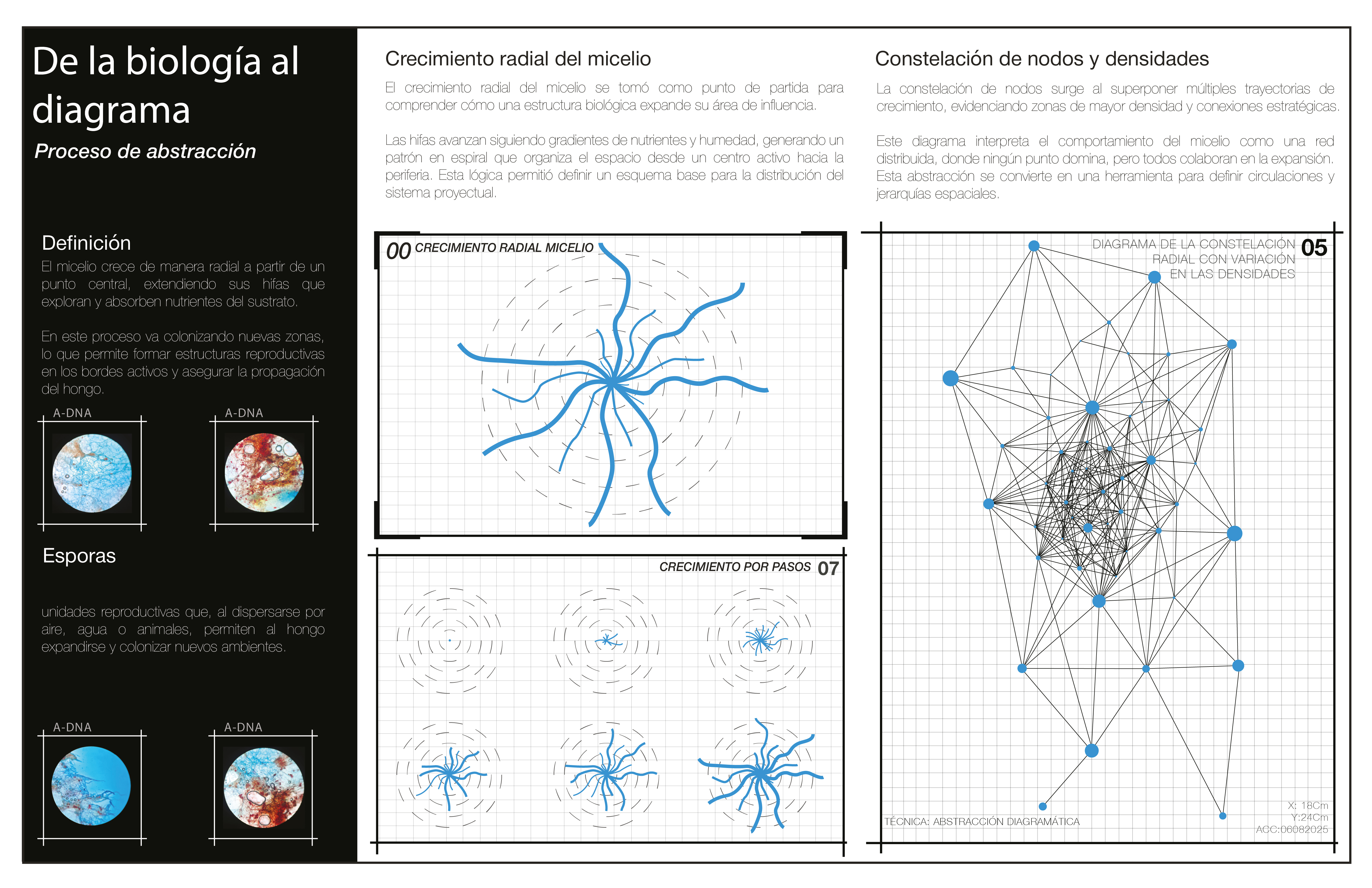 PROFUNDIZACIÓN MATERIA GENERATIVA Y FUTUROS AGREGADOS-16