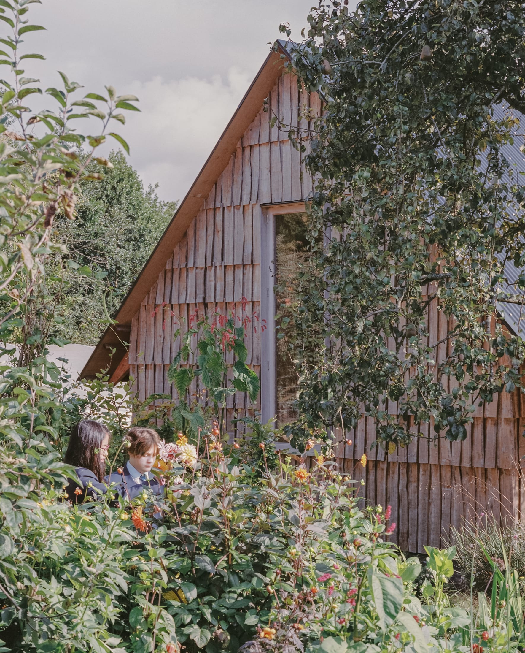 果园丨英国丨Okra-32