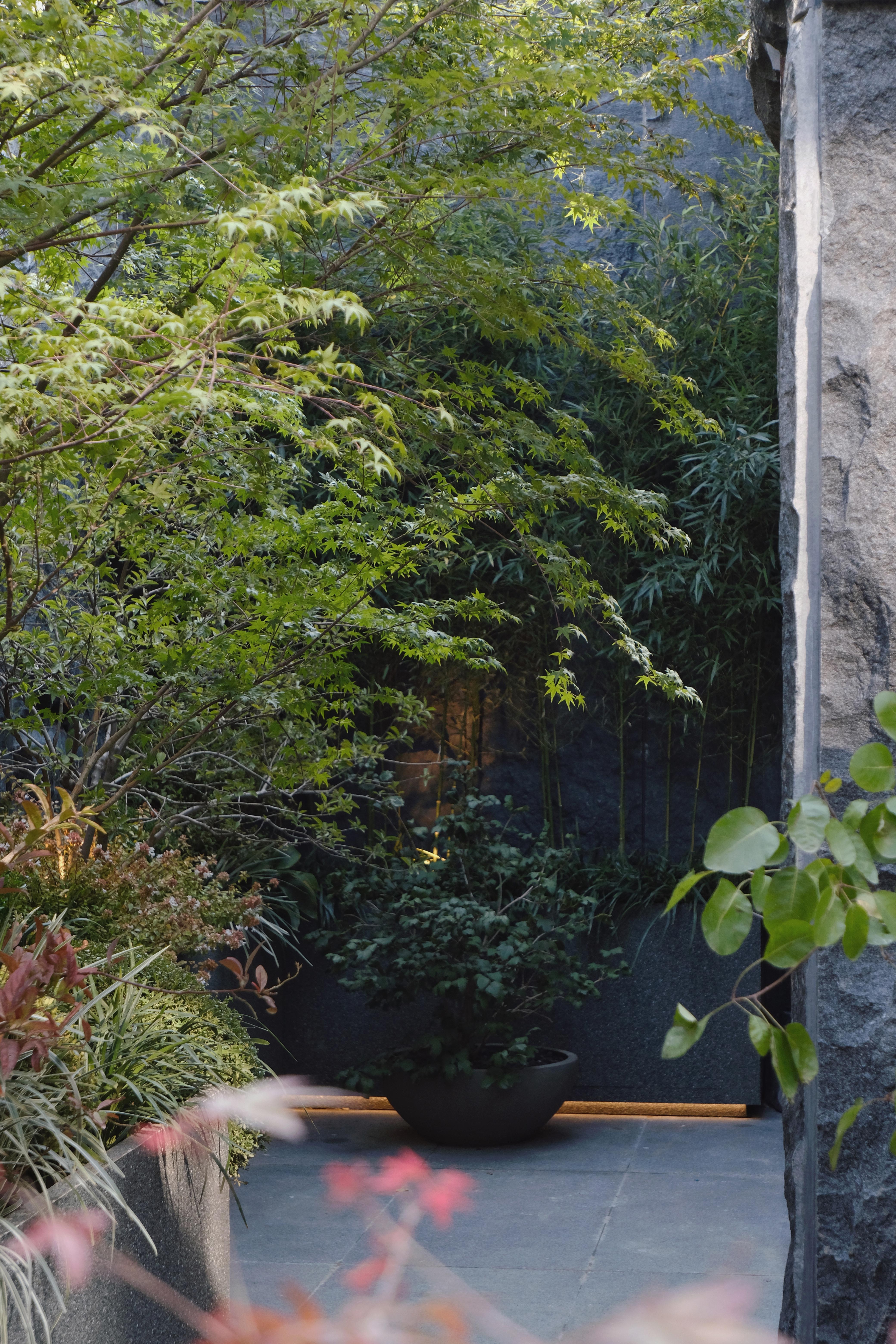 Urbanroots地下室花园丨中国北京丨Diff architecture studio-30