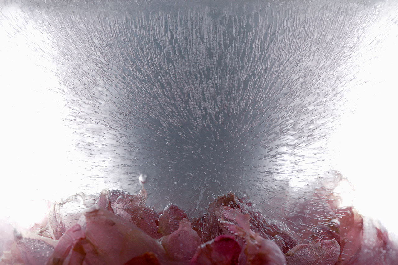 奇异梦境 | 摄影师 Namiko Kitaura 的艺术世界-45