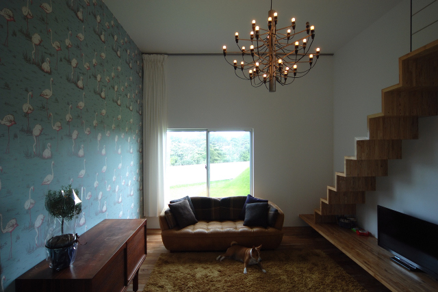 丨日本宫崎丨有限会社 COGITE-28