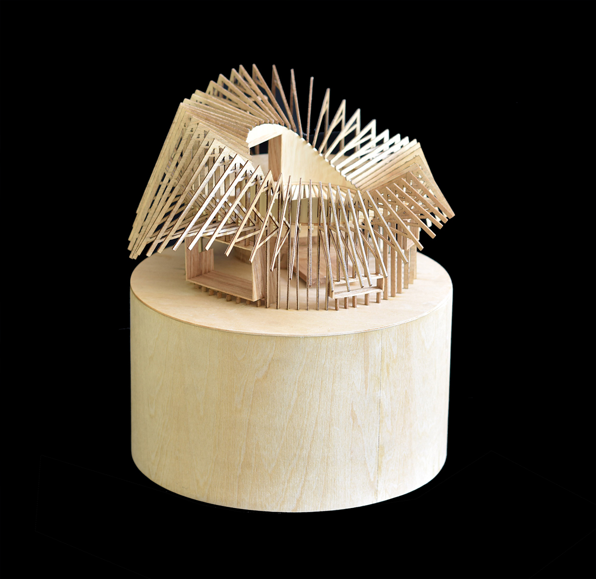 Treewow O - A Tree House of Curved Round Roof / MONOARCHI-12