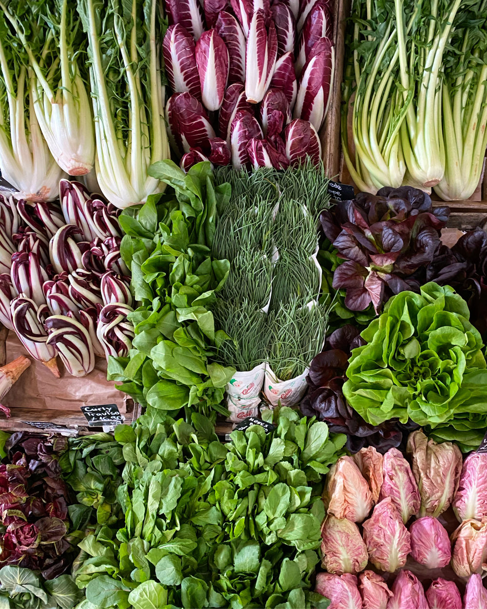 赏心悦目（Instagram为家庭厨师服务）-0