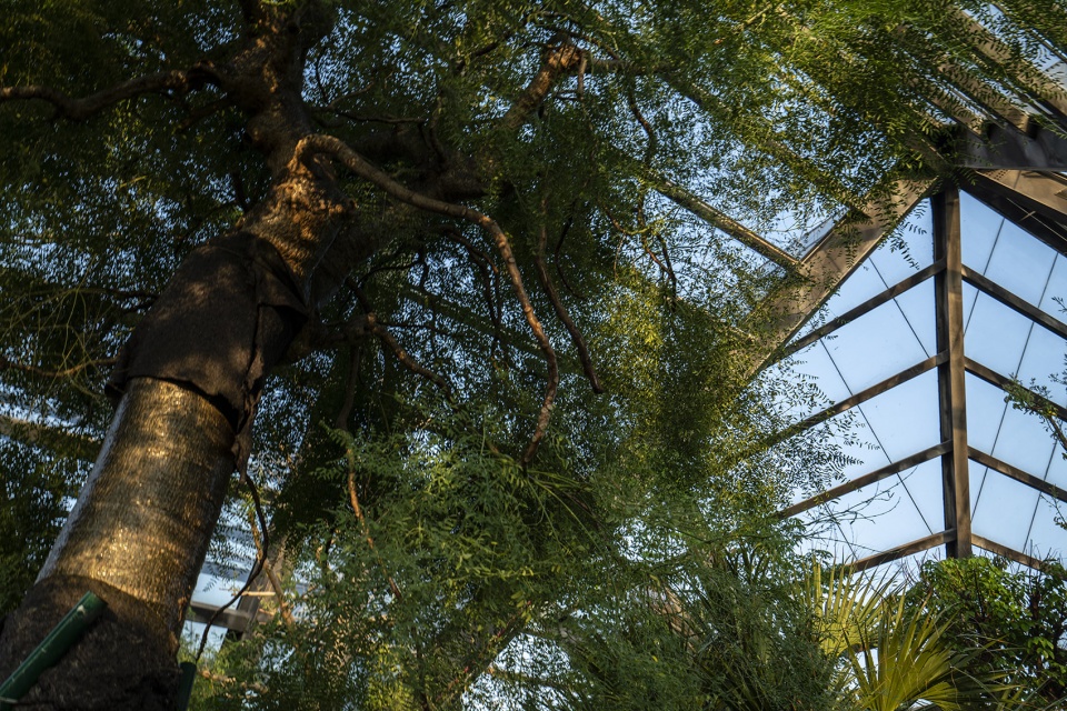 衡水植物园温室展览馆丨中国河北丨空格建筑-94