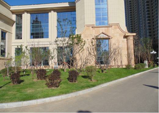 绿化设计中的地被放线手法与植物配置-104