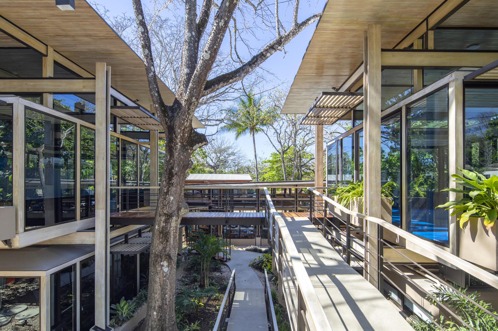 Costa Rica Athletic Center / Studio Saxe-32