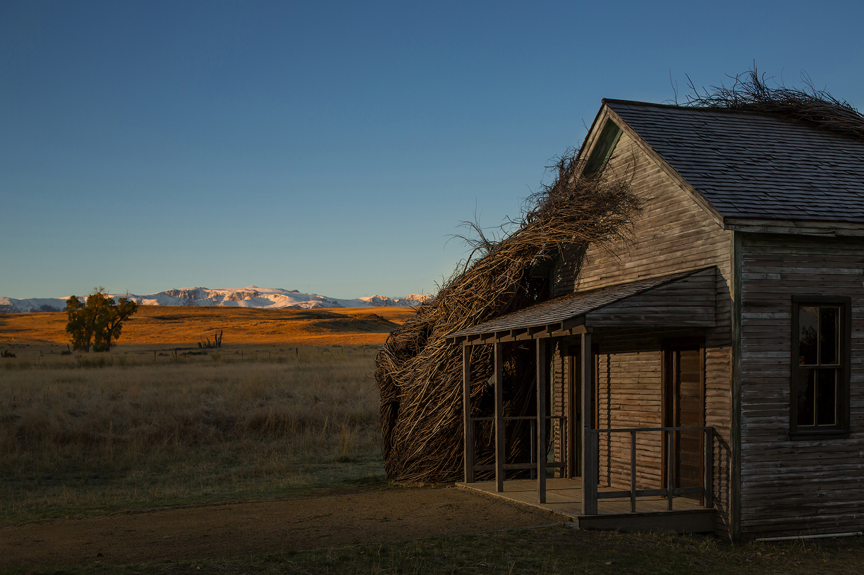 “白日梦”校舍,美国 / Cushing Terrell-33