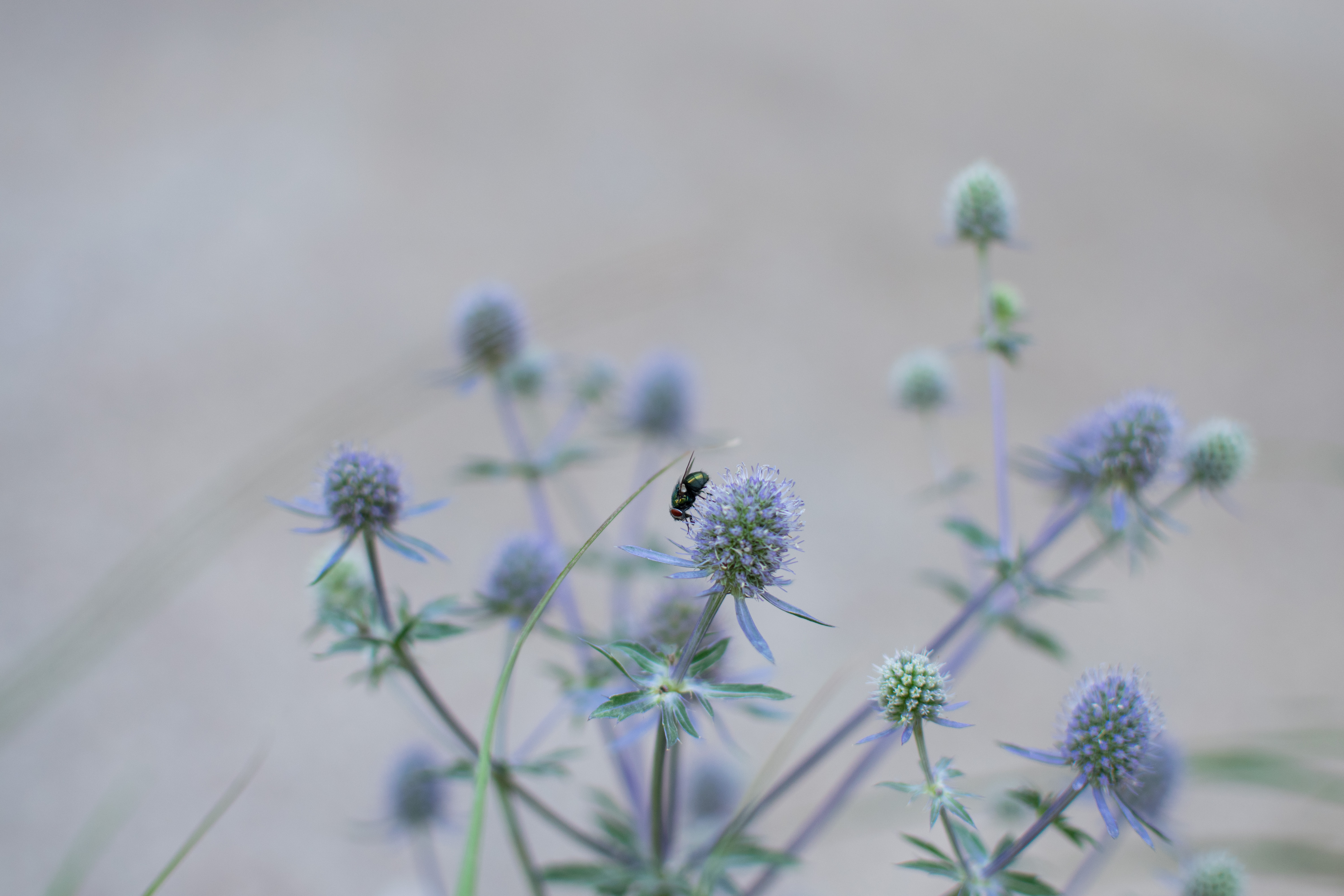 Rockefeller Center Summer Gardens | Julia Watson LLC-21