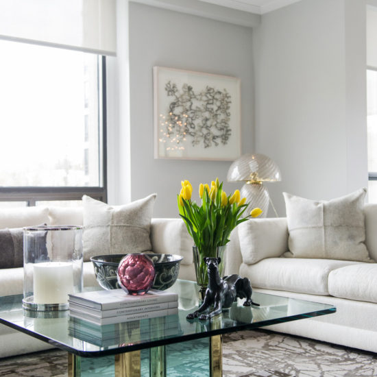 Avenue Road公寓重建项目丨Timothy Johnson Design-6