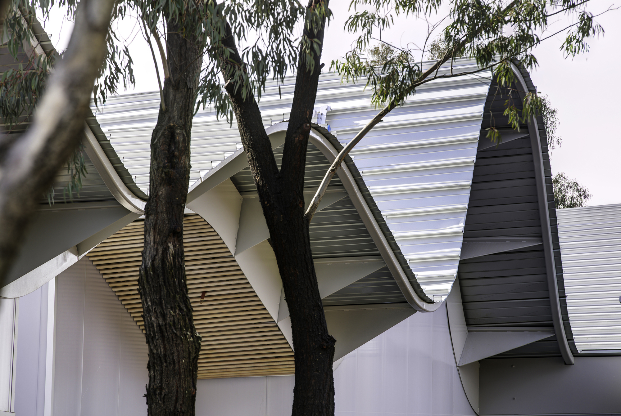 Woodcroft Neighbourhood Centre  / Carter Williamson Architects-34