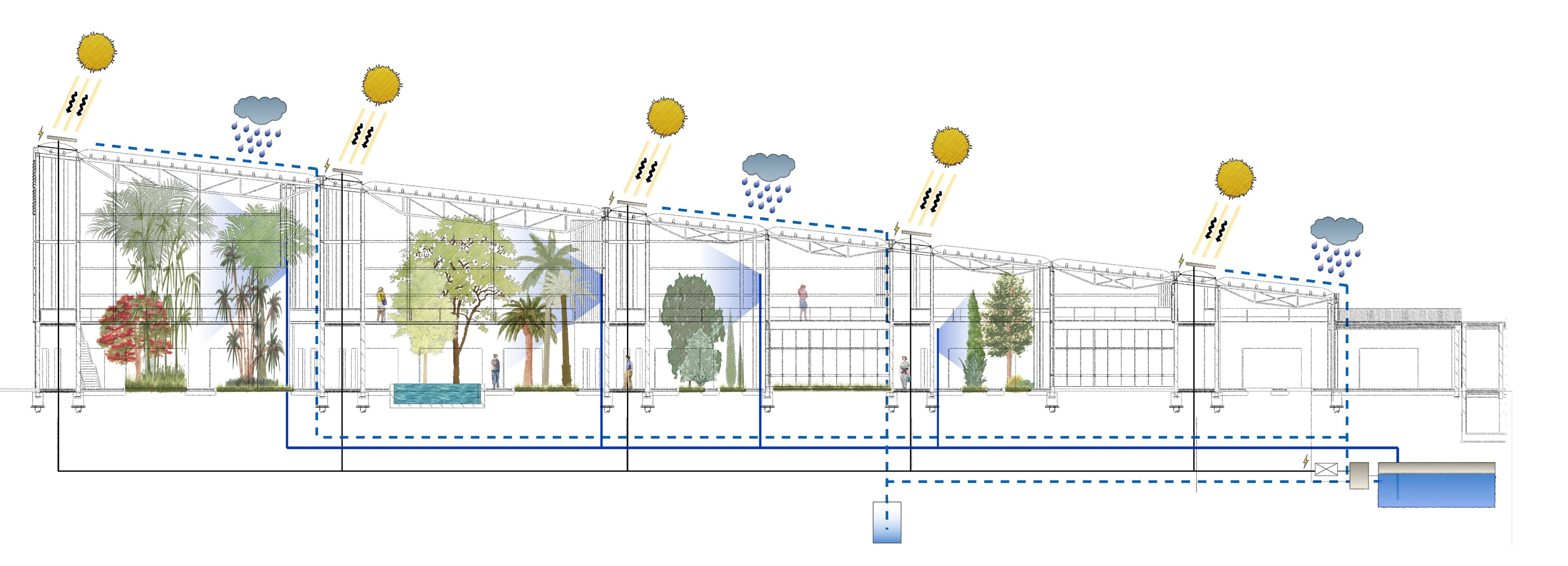 绿色智行 · 新型植物园的探索与实践-97