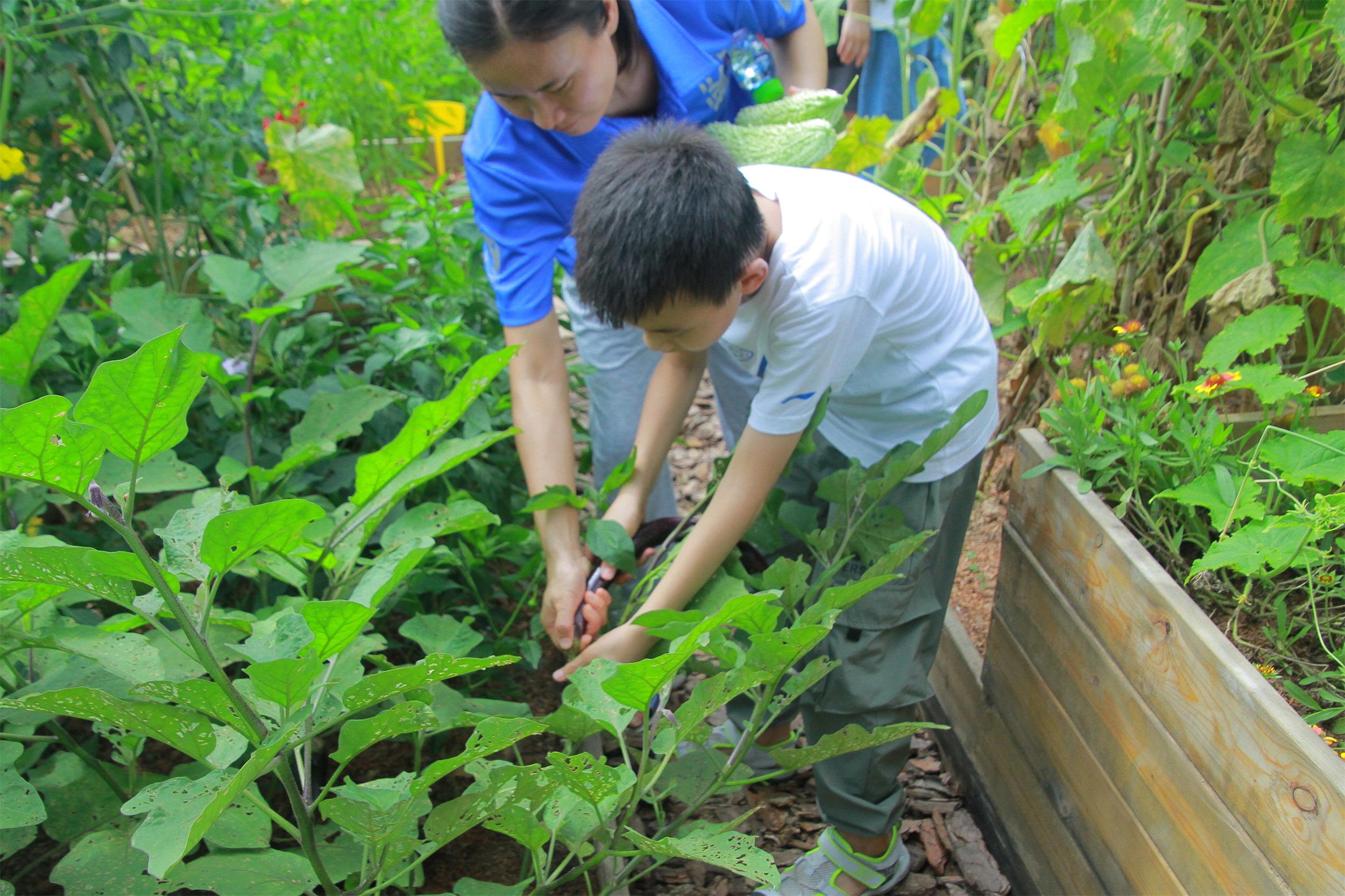 武汉脉动生态花园：一座由工厂废弃物建成的花园丨中国武汉丨盖娅朴门设计-31