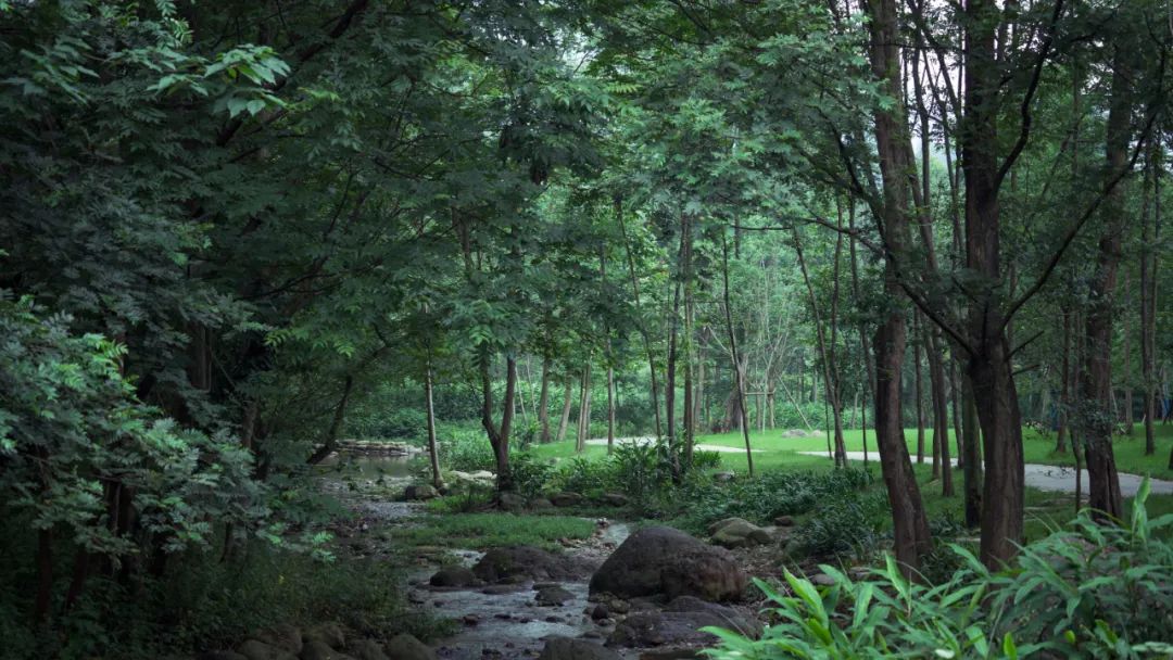 峨眉·高桥小镇丨中国眉山丨四川乐道景观设计有限公司-69