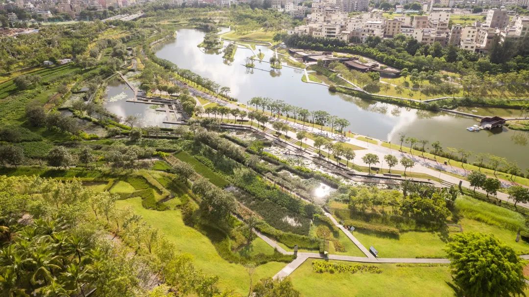 海口市美舍河凤翔湿地公园丨中国海口丨土人设计-19