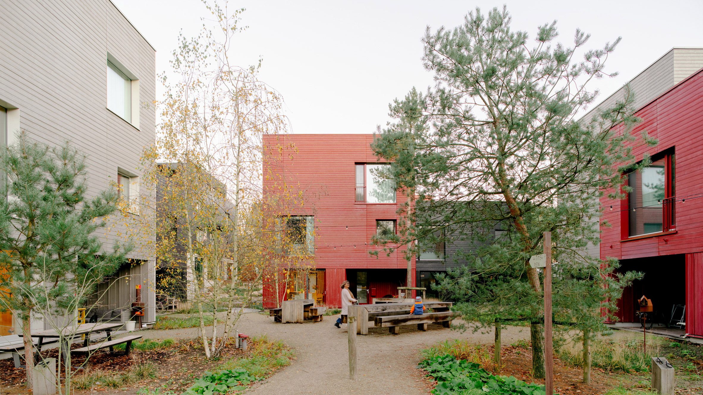 常见木材丨荷兰阿默斯福特丨荷兰Space&Matter工作室-0