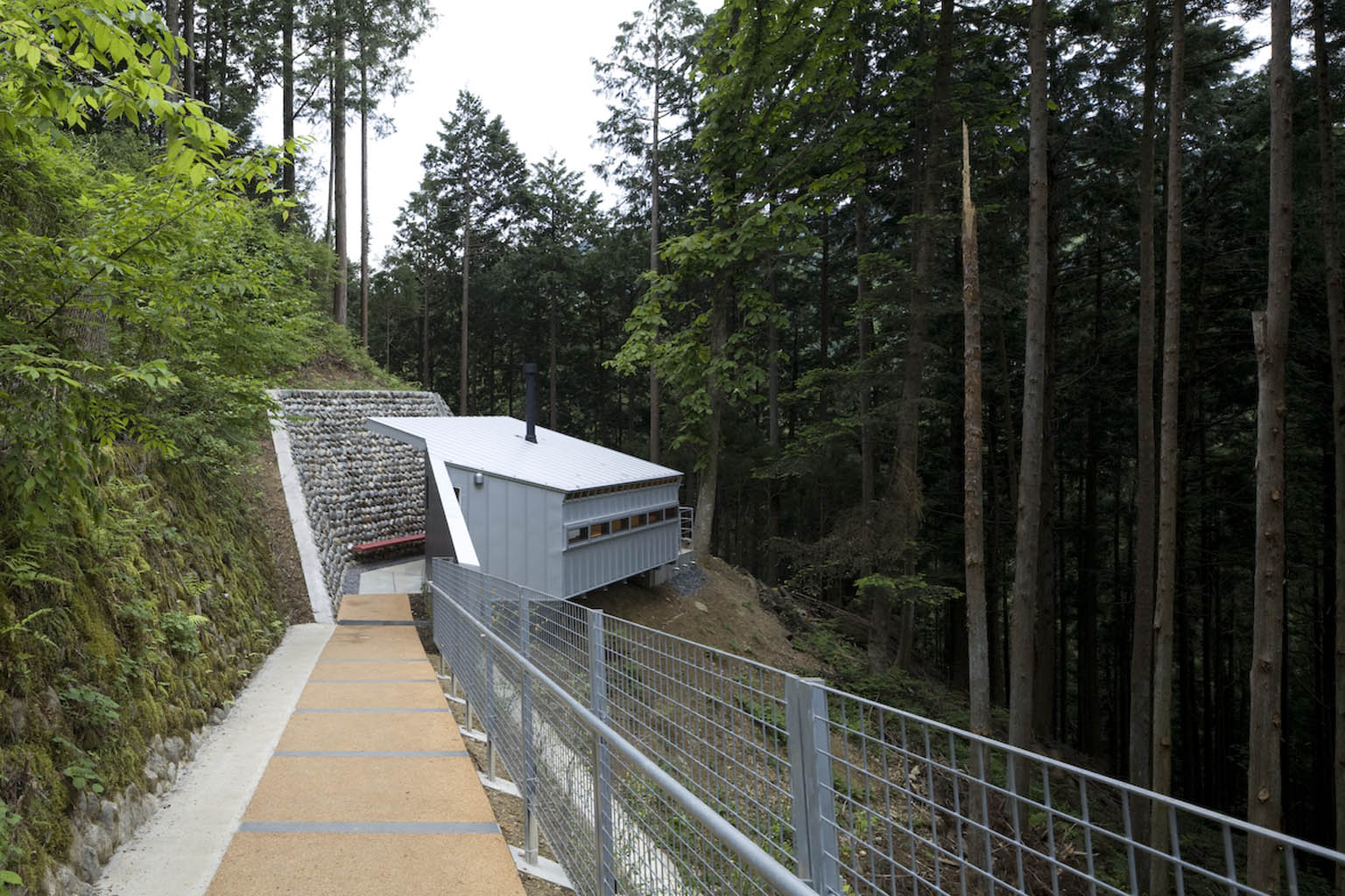 奥多摩森林疗法之路丨日本东京-8