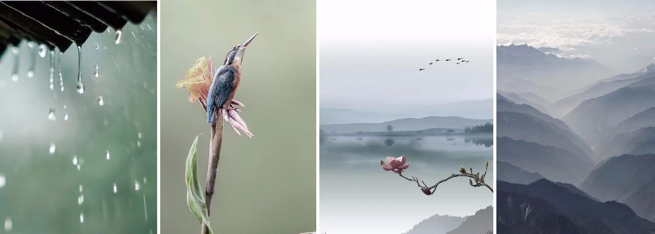 S.U.N新作 | 用光与弧线重塑空间之美-0