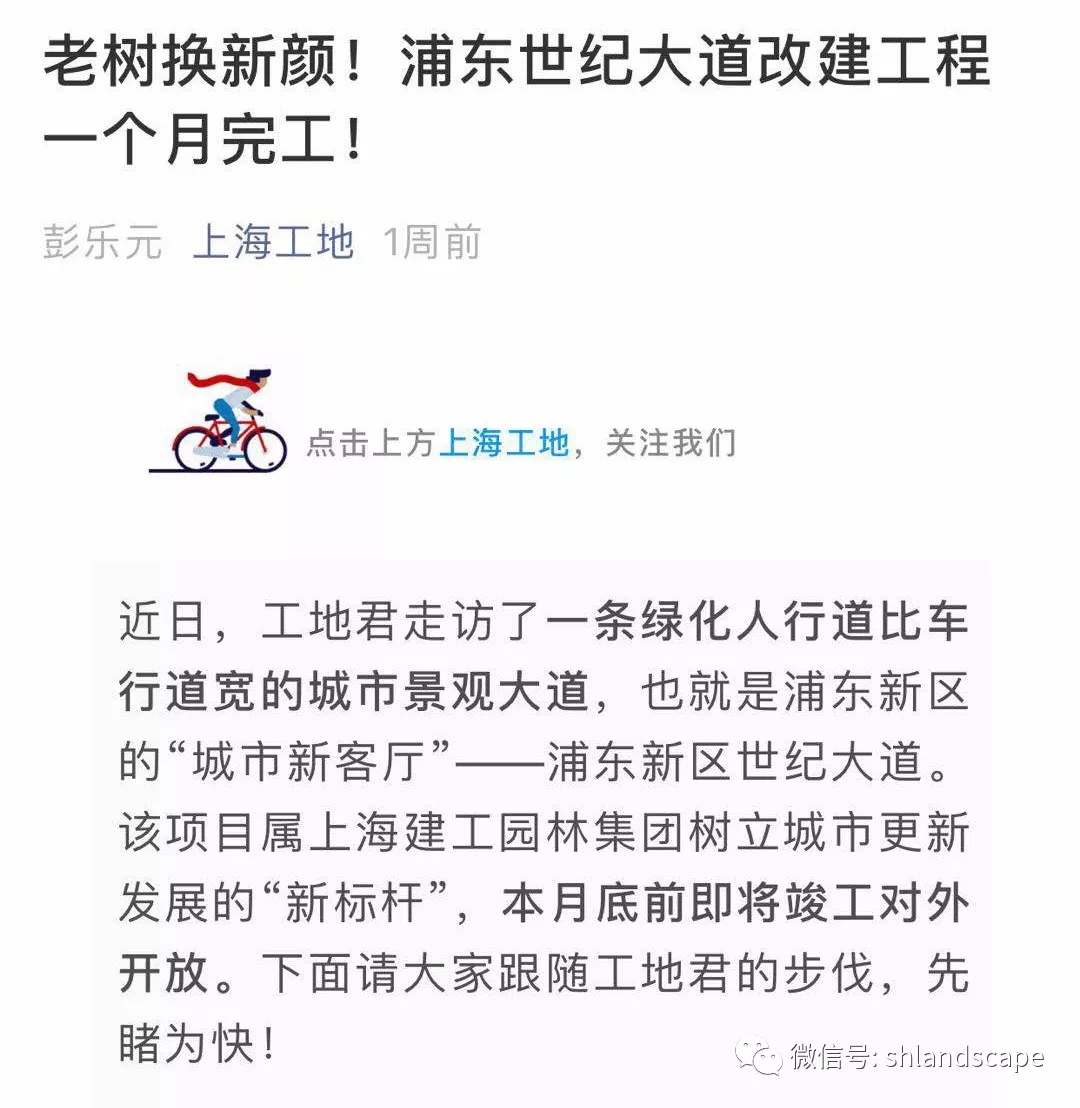 上海浦东世纪大道改造提升工程-89