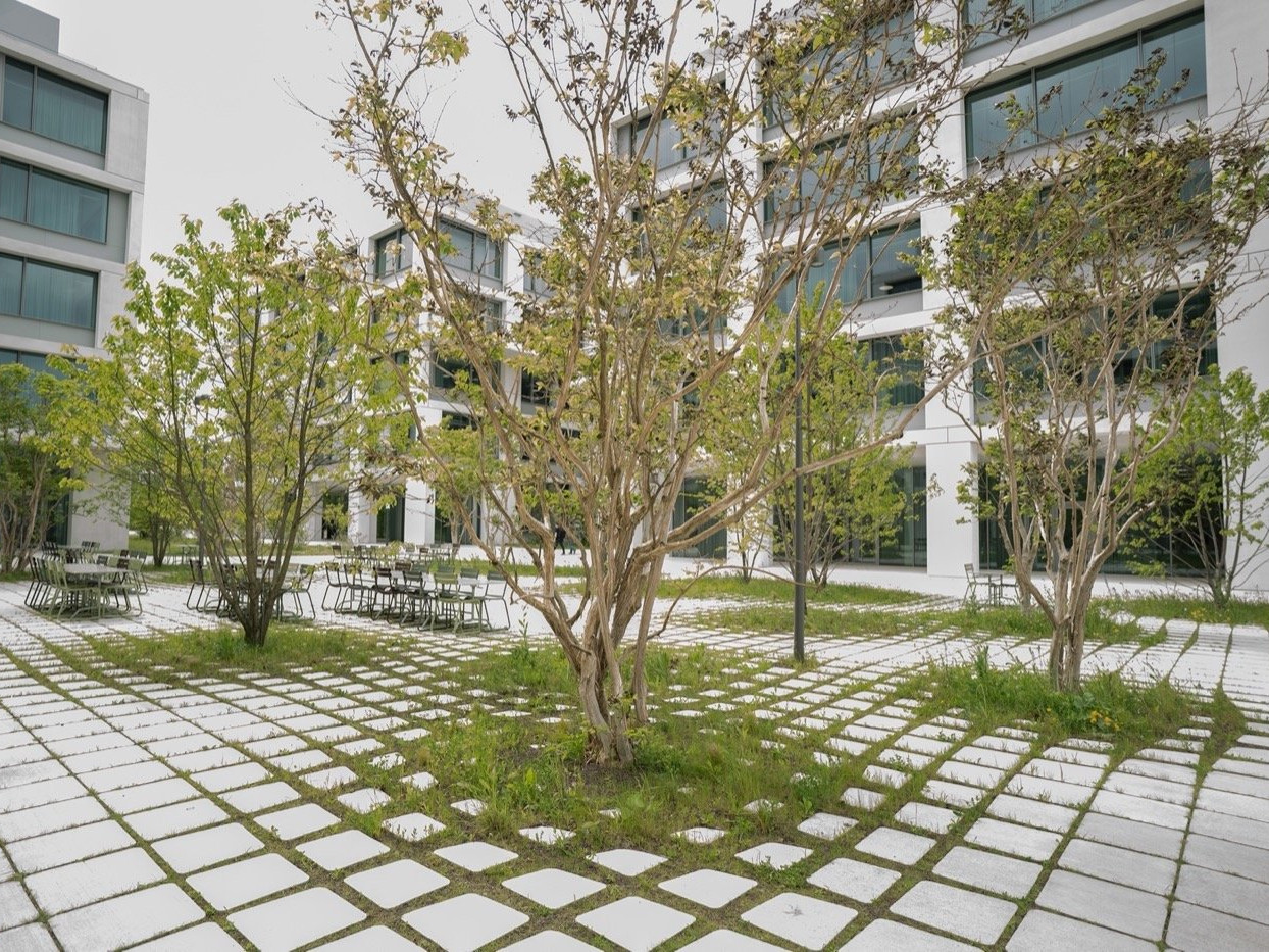 瑞士罗氏袖珍公园-2