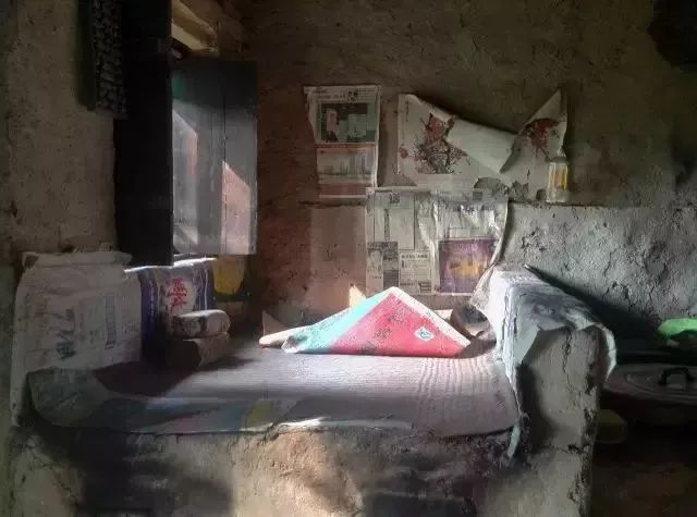 终南山书院 | 回归自然的诗意栖居-5