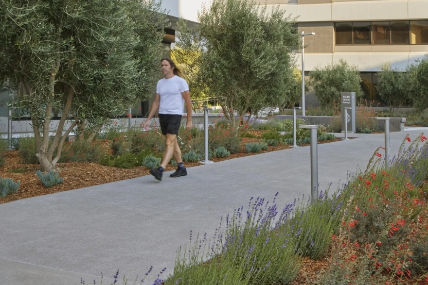 加州核桃溪·种植者广场丨Groundworks Office 设计事务所-25