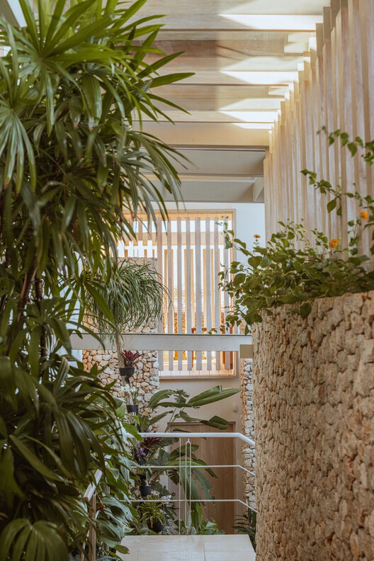 丨哥斯达黎加丨Studio Saxe-93