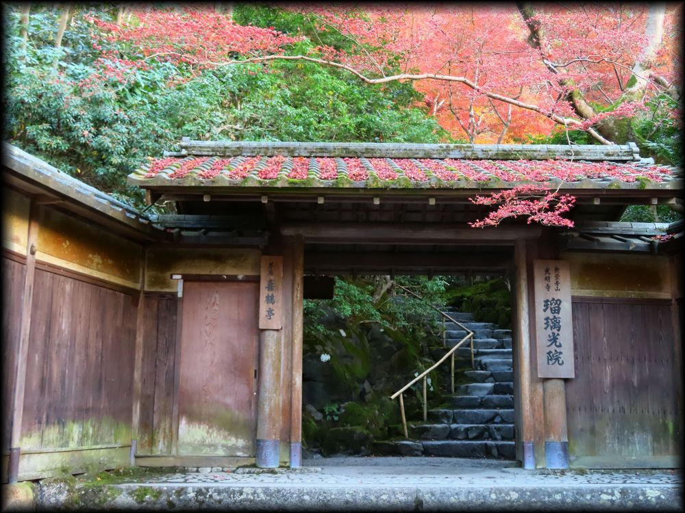 瑠璃光院（旧高级旅馆「喜鶴亭」）丨日本京都-23