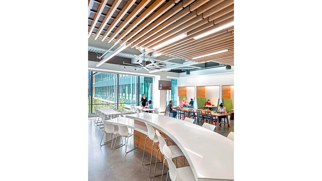 Gensler 打造 Riverbed 科技办公室 | 自然元素与科技的和谐共生-7