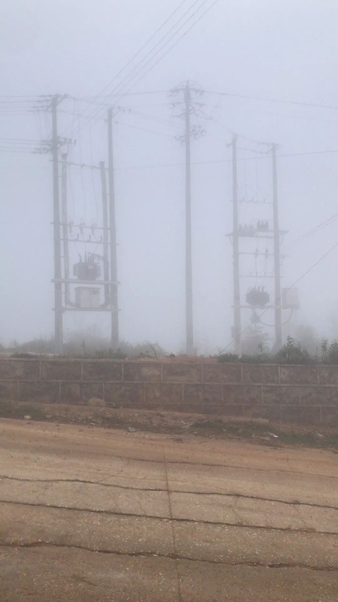 雾中苏红 | 自然、情感与时间的交融-54