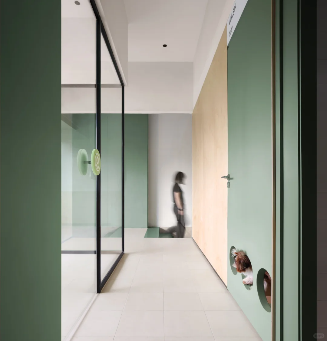 海南▶Momogogo人宠都市绿洲——毛孩子的友好综合空间-20