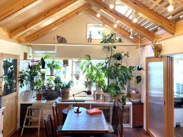 住吉山手の家(犬と猫と音楽の家)丨日本兵库丨ファウナ・プラス・デザイン一級建築士事務所-55