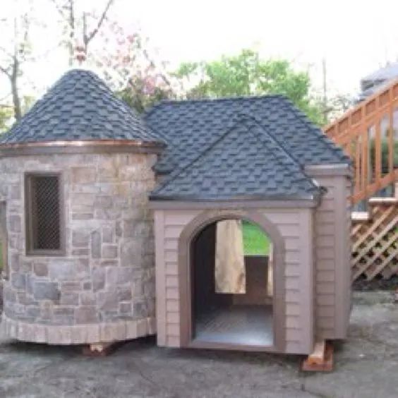 庭院宠物之家 | 打造宠物宜居的户外空间-48