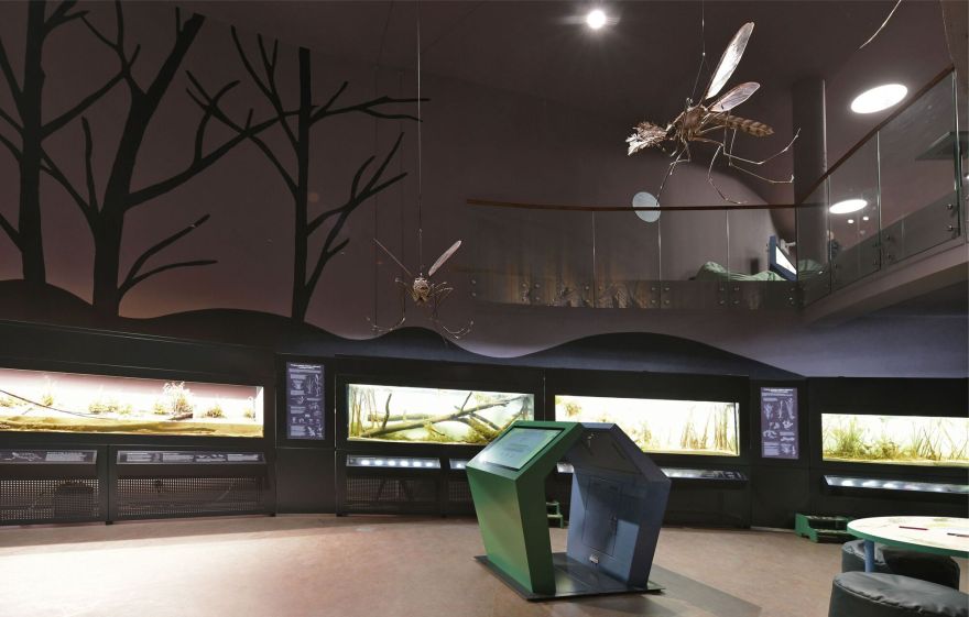 Kumak 马祖里生物多样性与自然教育中心丨波兰丨Kwadratura-54