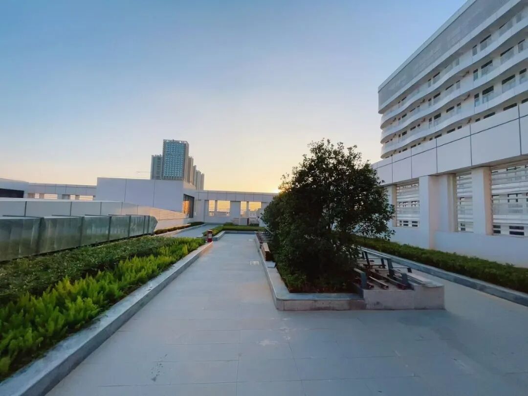 以医为主，兼顾养老，中建八局深圳龙岗第六人民医院项目建成启用-38