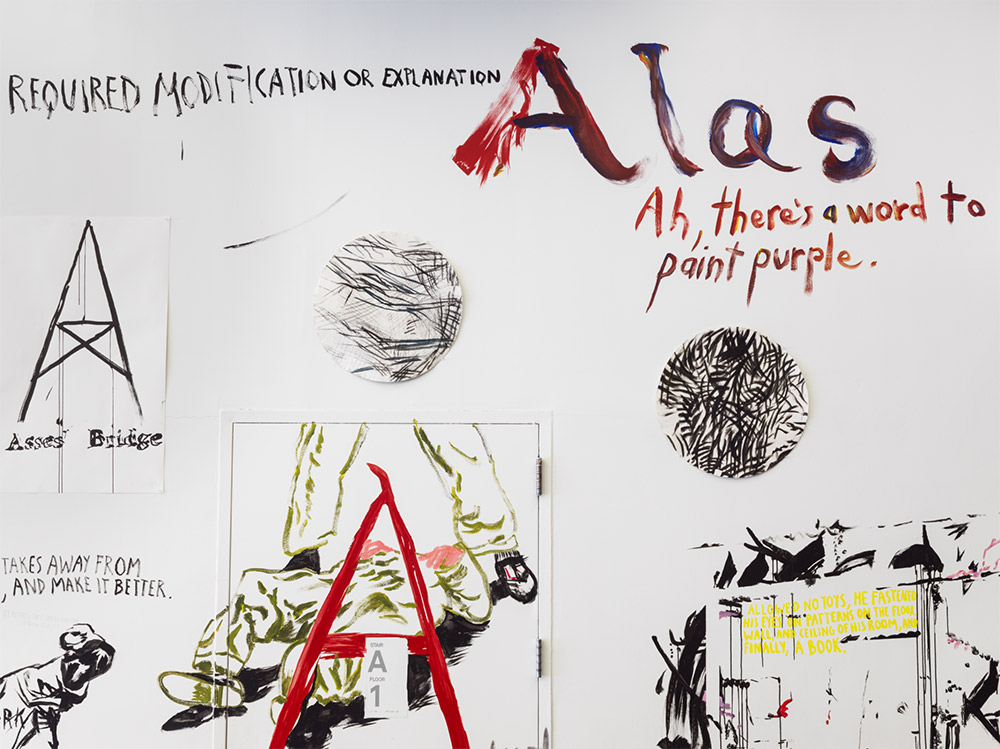 纽约新博物馆呈现雷蒙德·佩蒂本艺术盛宴-4