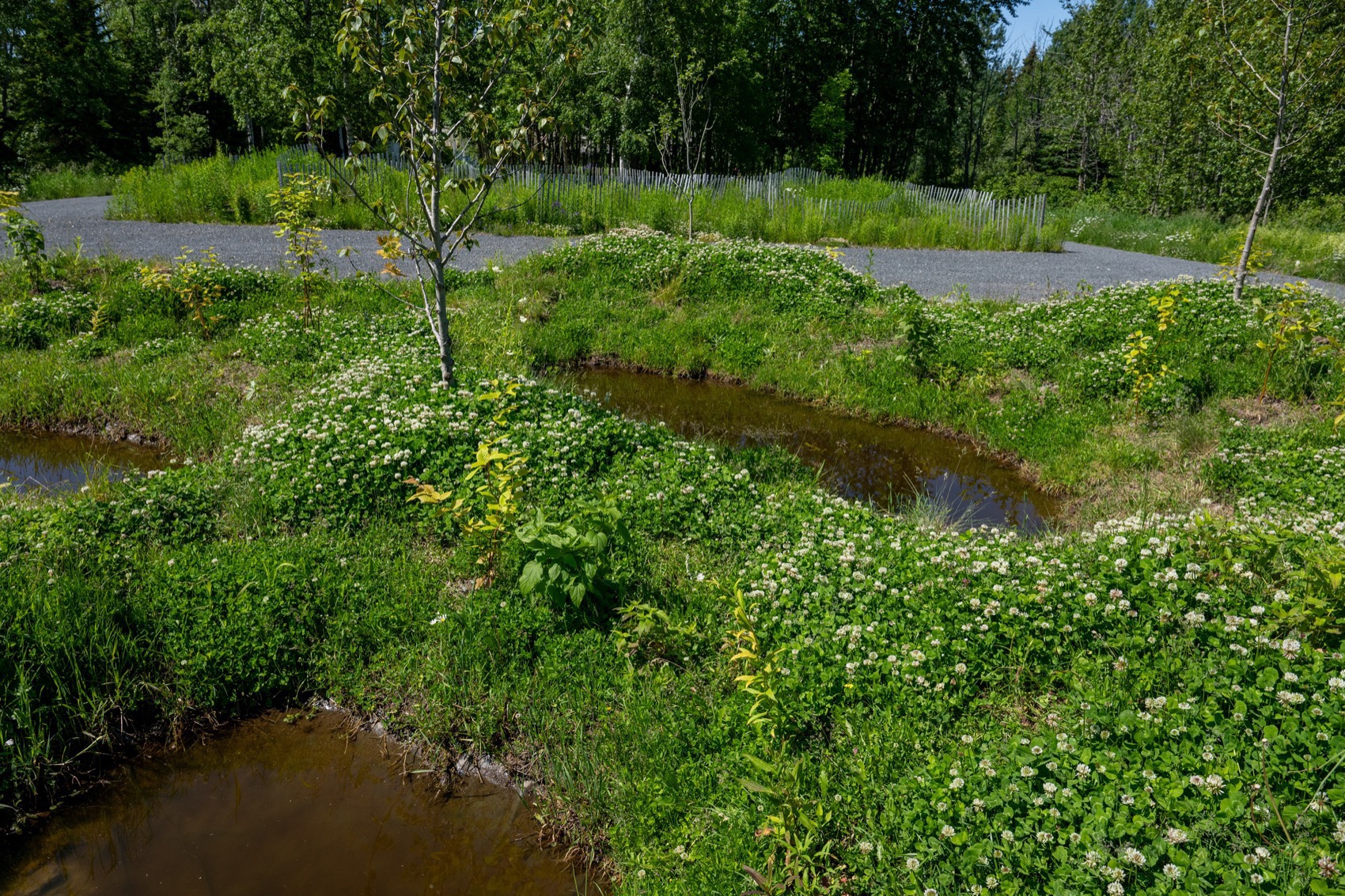 2025国际花园节:边界丨bureau60a（视觉识别设计）-29