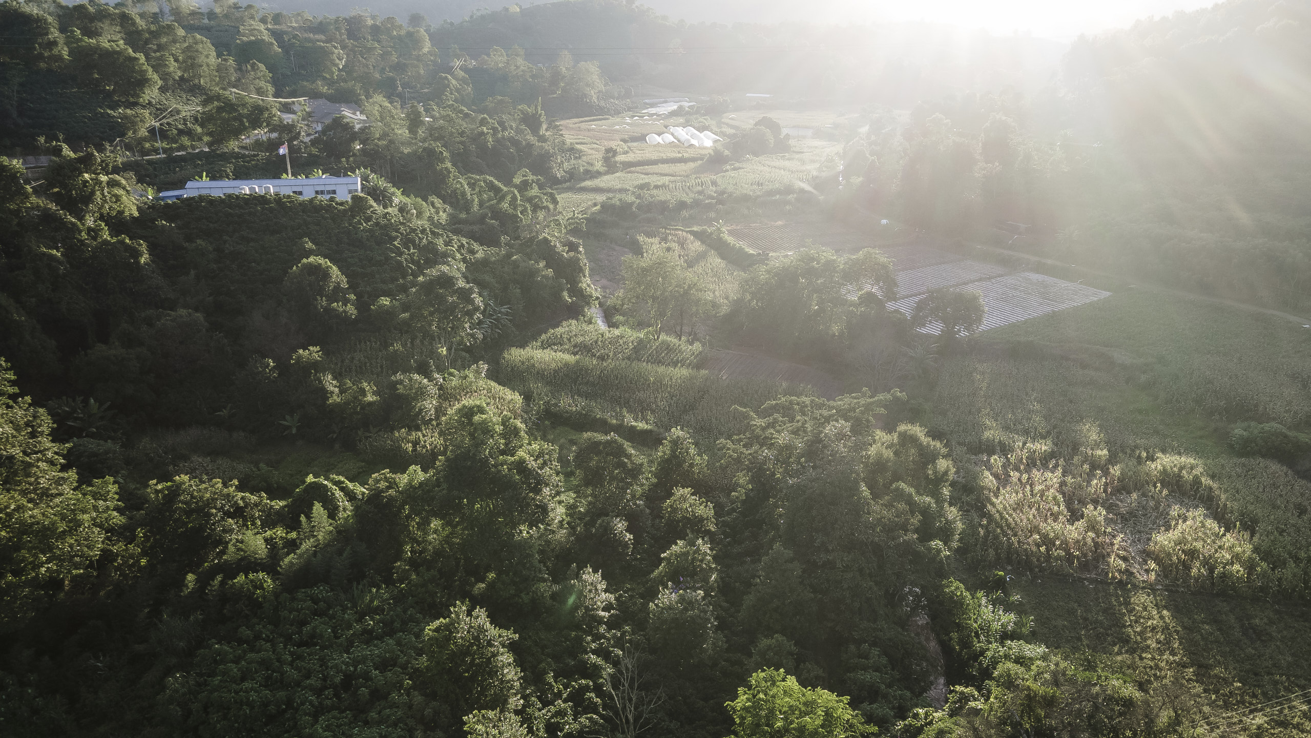 美丽星村有风咖谷丨中国普洱丨长空创作-3