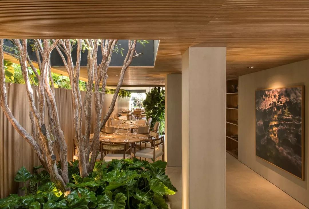 MF+ Architects | 自然与纯粹的现代空间-39