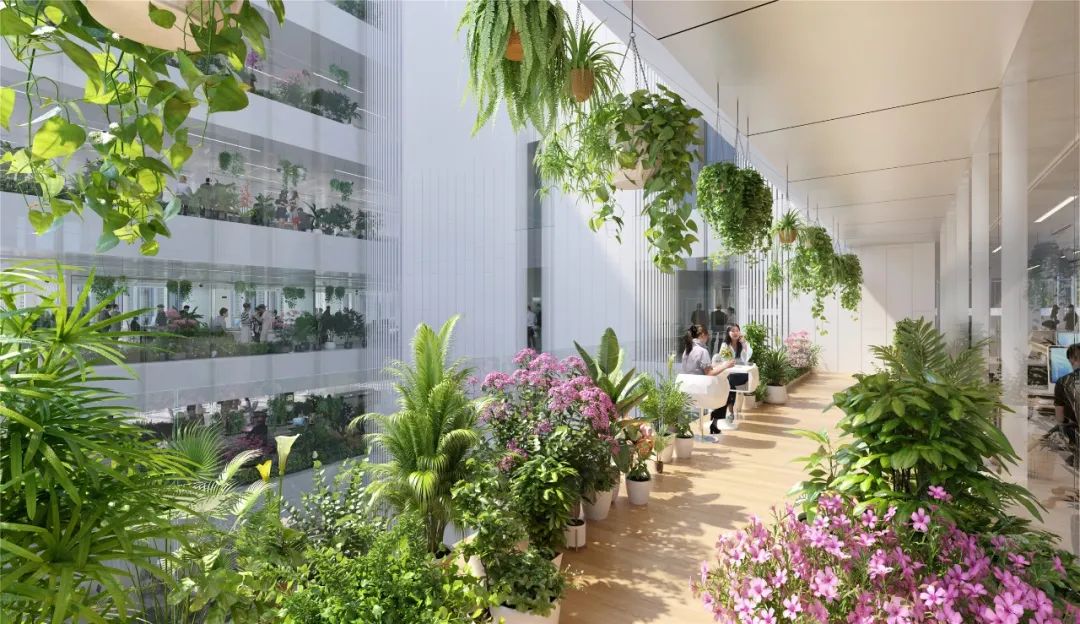 深圳湾超级总部基地 TCL 先进半导体显示产业总部丨中国深圳丨肃木丁建筑设计咨询（深圳）有限公司,奥意建筑工程设计有限公司-21