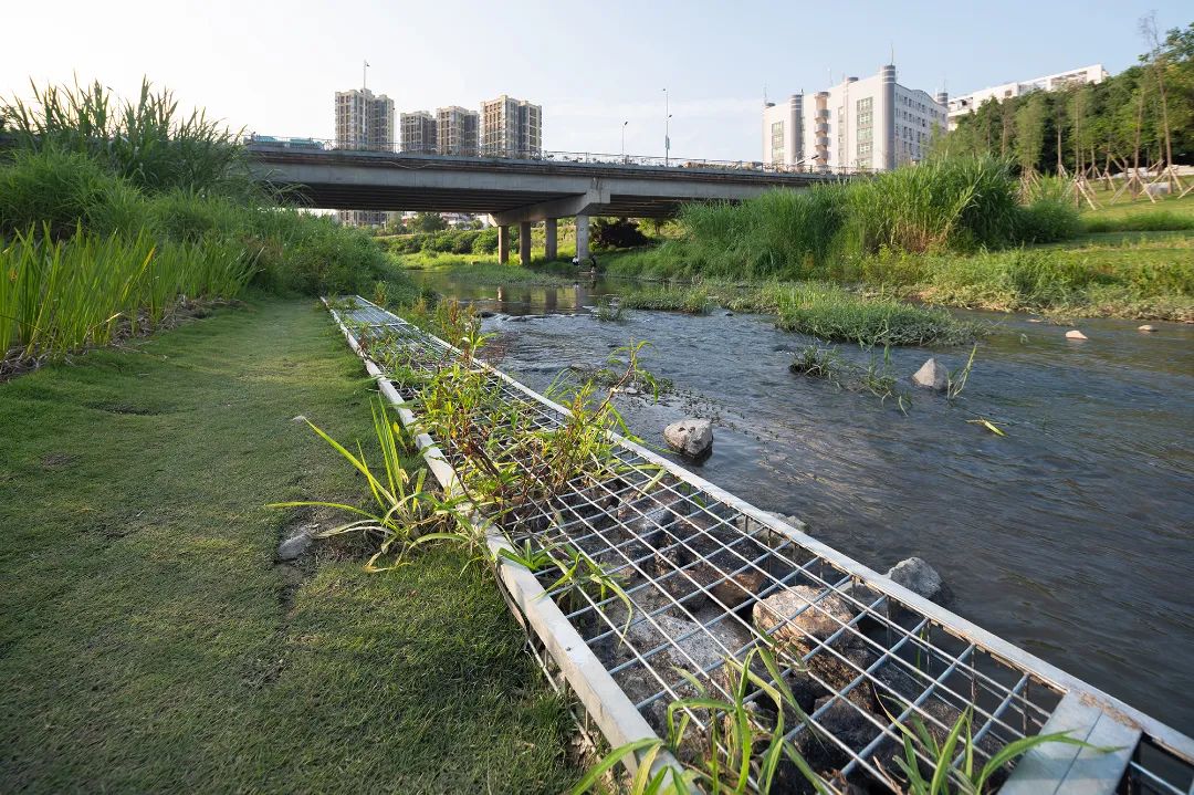 深圳低碳城滨水公园丨中国深圳丨AUBE欧博设计-20