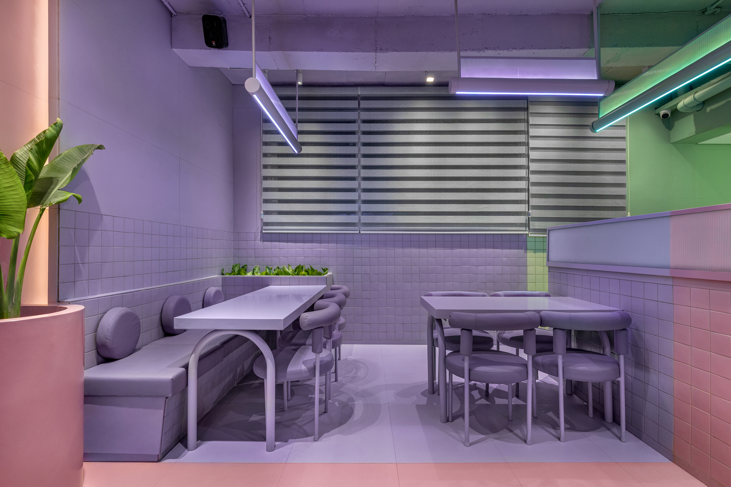 印度 Solan 市 Cosmo Deli & Bistro Bar丨Exubia Studio-16